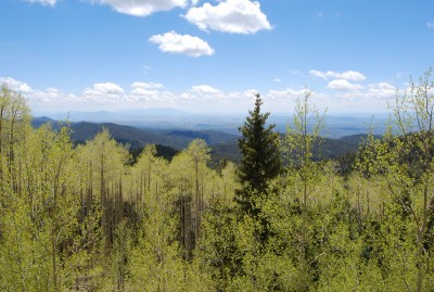 DSC_0058.JPG