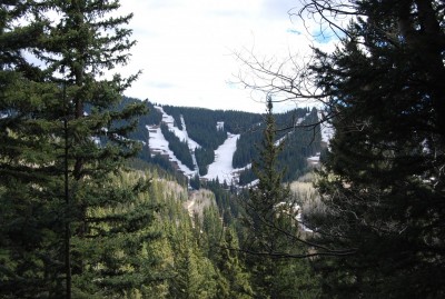 DSC_0093.JPG