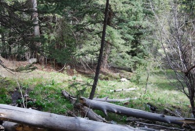 DSC_0094.JPG
