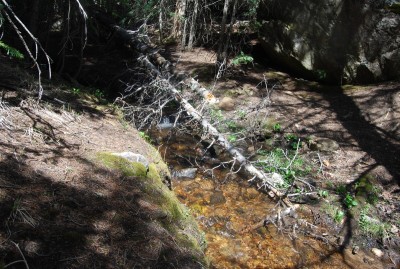 DSC_0126.JPG