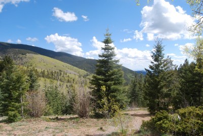 DSC_0139.JPG