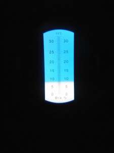 IMG_1248.JPG