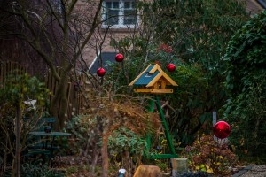 DSC_8837.jpg