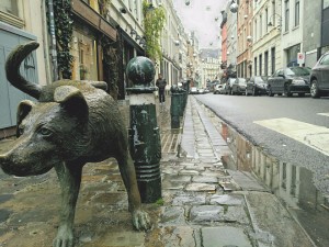 20160105_085314.jpg