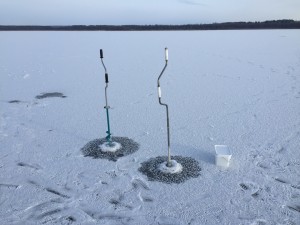 IMG_1663.JPG