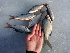 20160207_141136.jpg