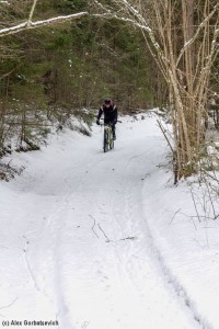 20160220_135019_std.jpg