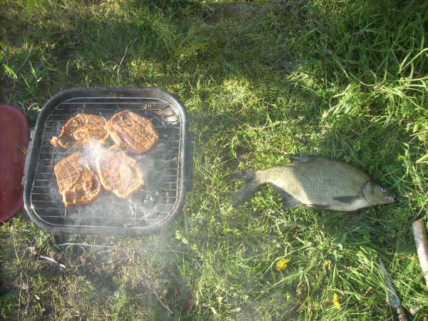 070.JPG (227.23 KiB) 3987 просмотра 070.JPG