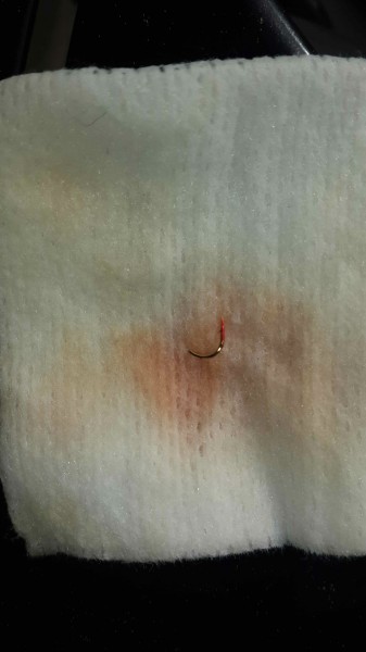 IMG-20160514-WA0005.jpeg