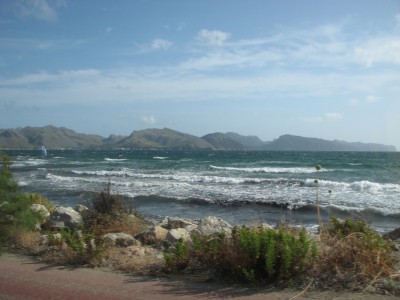 IMG_2558.JPG
