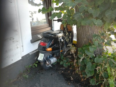 WIN_20160906_130843.JPG