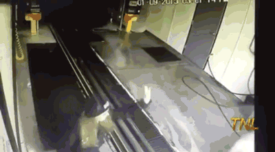 1472401713_1.gif