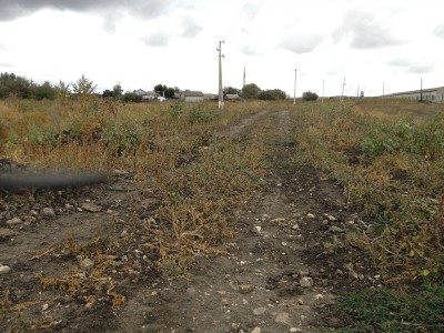 WIN_20160915_095651.JPG