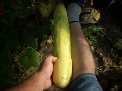 004.JPG