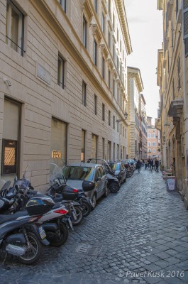 _DSC8887.jpg