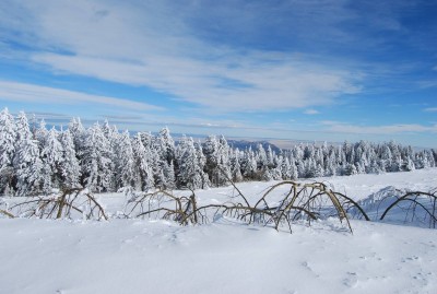 DSC_0052.JPG