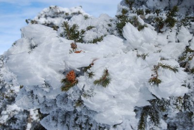 DSC_0054.JPG