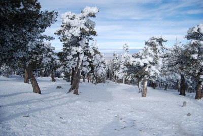 DSC_0055a.JPG