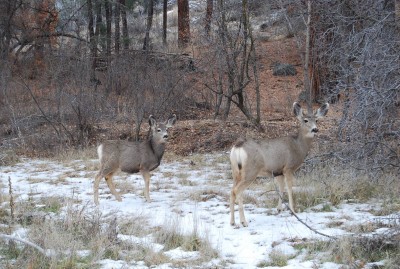 DSC_0099.JPG