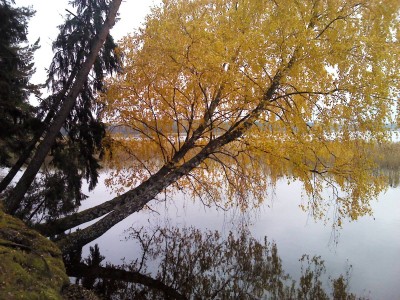 IMG_20131011_121950.jpg