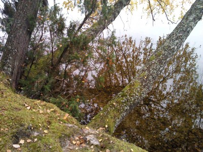 IMG_20131011_122050.jpg