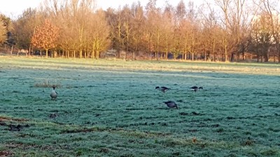 20170404_073209.jpg