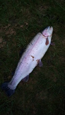 20170414_202058.jpg