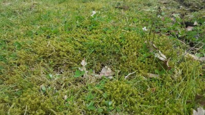 20170427_155537.jpg
