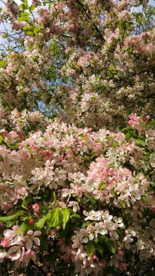 20170503_083254.jpg