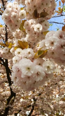 20170503_083208.jpg