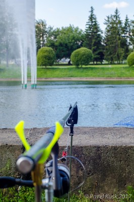 _DSC9704.jpg