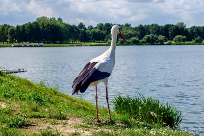 _DSC9754.jpg