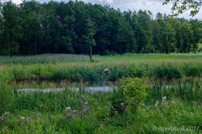_DSC9762.jpg