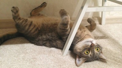 20171025_224831.jpg