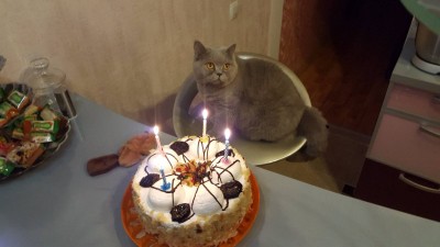 20171206_203522.jpg