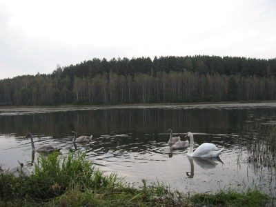 26.09.2010 041.jpg
