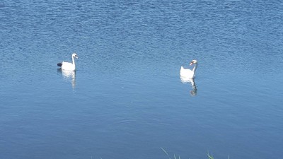 20180526_135024.jpg