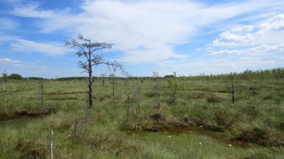 IMG_2111.JPG