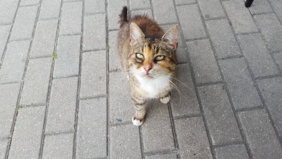 20180730_191054.jpg