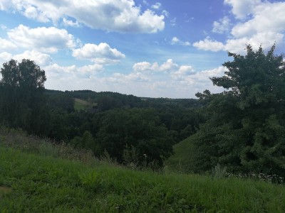 IMG_20180803_124901.jpg