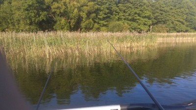 IMG-20190817-WA0031.jpeg
