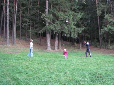 IMG_2438.jpg