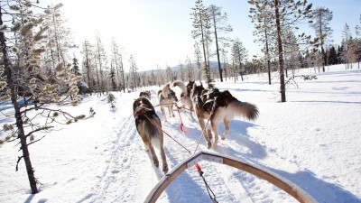 WINTERSPRING_Huskysafari_1.jpg