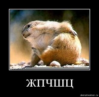 5uwlv6m0ispq.jpg