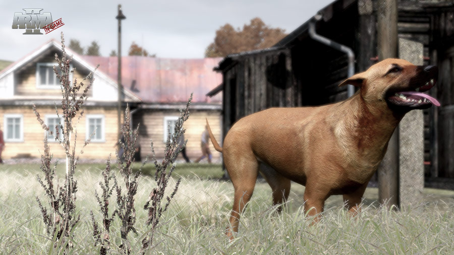 arma2_2.jpg