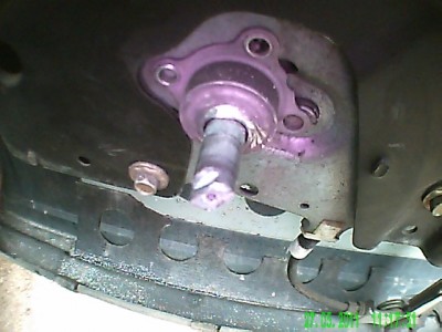PICT0006.JPG