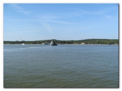 IMG_4843.JPG