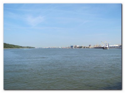 IMG_4846.JPG