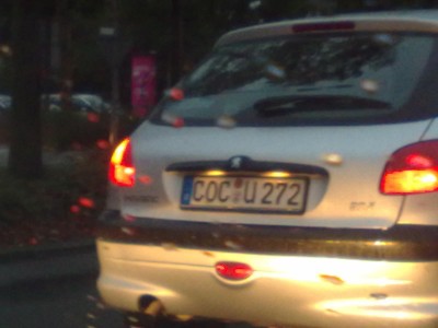 12102011551.jpg