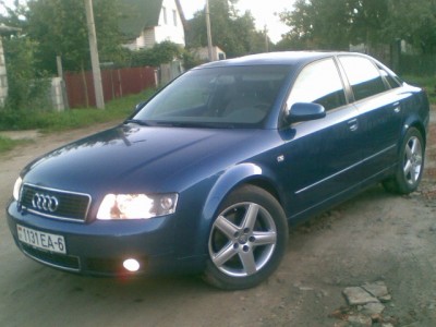 88ce4bf596a176fd-large.jpg